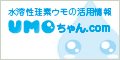 ウモプラス